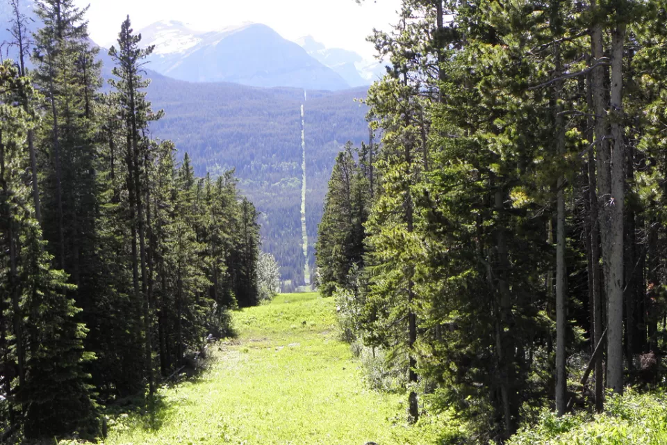 US - Canadian Border at Chief Mountain